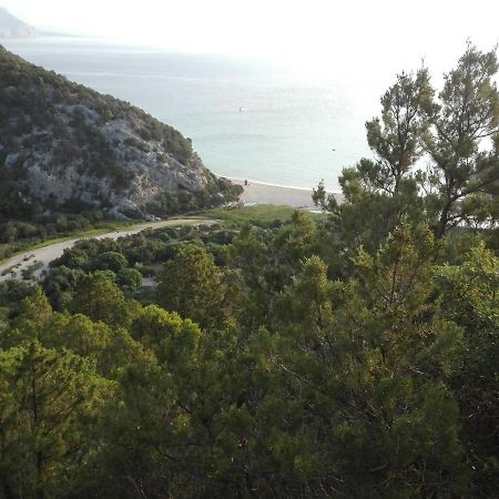 Monolocale Marizzola Διαμέρισμα Cala Gonone Εξωτερικό φωτογραφία
