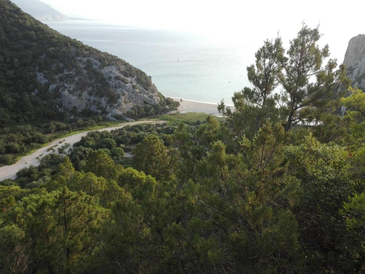 Monolocale Marizzola Διαμέρισμα Cala Gonone Εξωτερικό φωτογραφία
