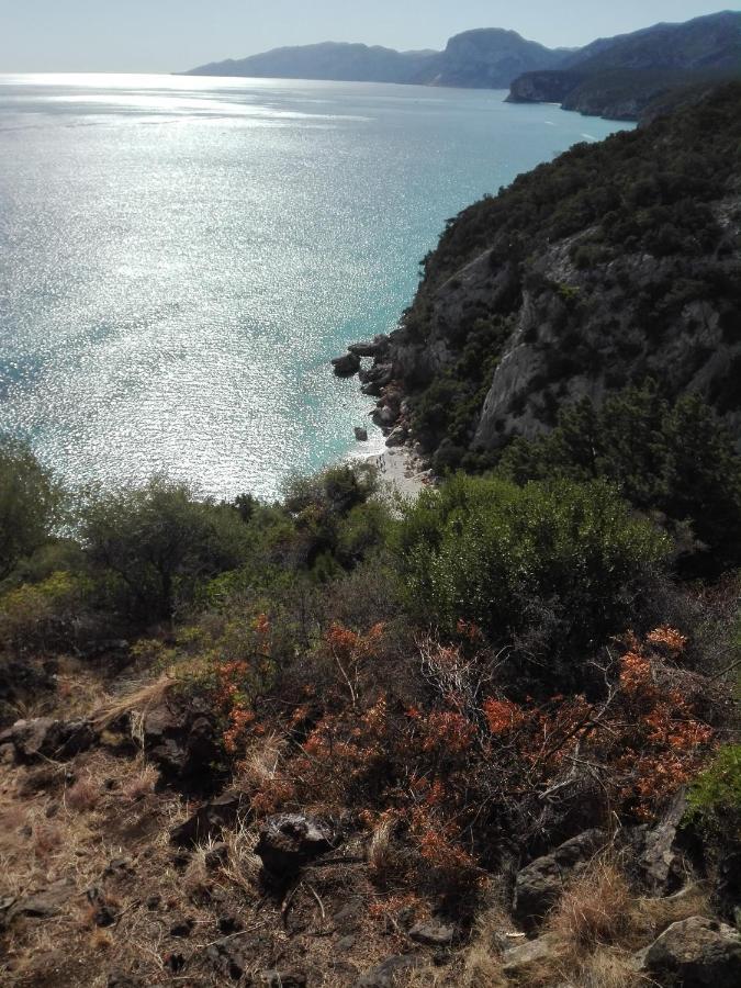 Monolocale Marizzola Διαμέρισμα Cala Gonone Εξωτερικό φωτογραφία
