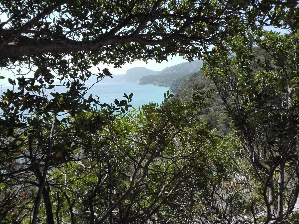 Monolocale Marizzola Διαμέρισμα Cala Gonone Εξωτερικό φωτογραφία