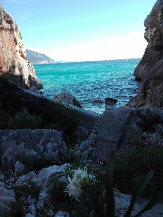Monolocale Marizzola Διαμέρισμα Cala Gonone Εξωτερικό φωτογραφία